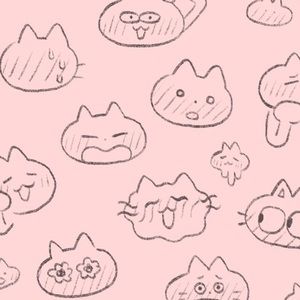 Meet your Posher, Kitty